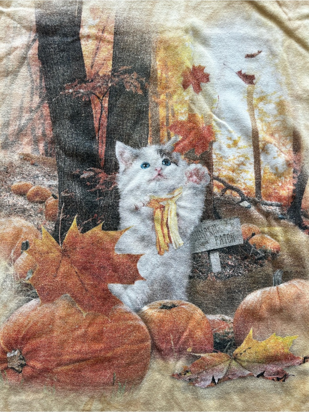 Vintage The Mountain Autumn Aesthetic Tie Dye T Shirt Goblincore Whimsygoth Cute